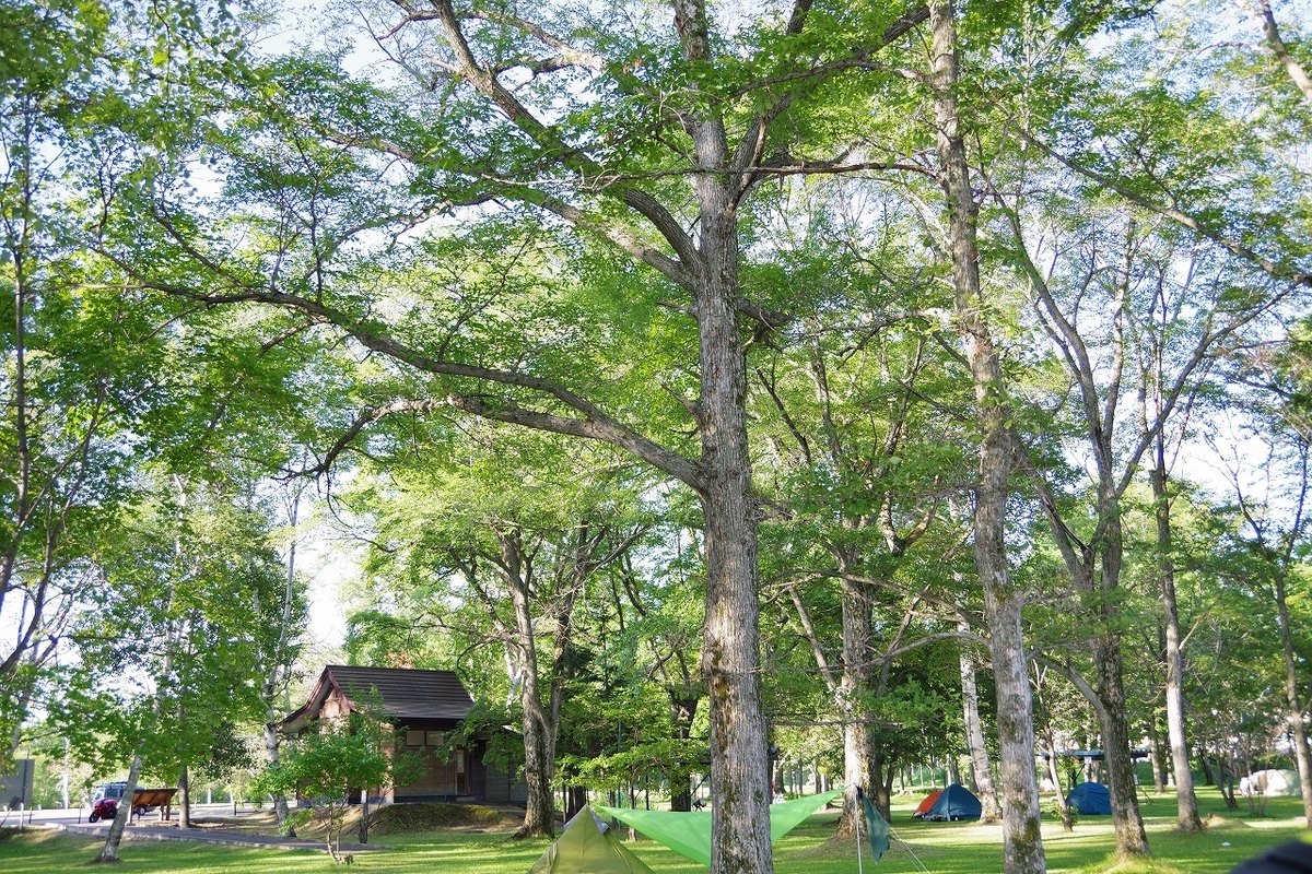 f:id:kyoumo_ichinichi:20190325221910j:plain f:id:kyoumo_ichinichi:20190325221910j:plain