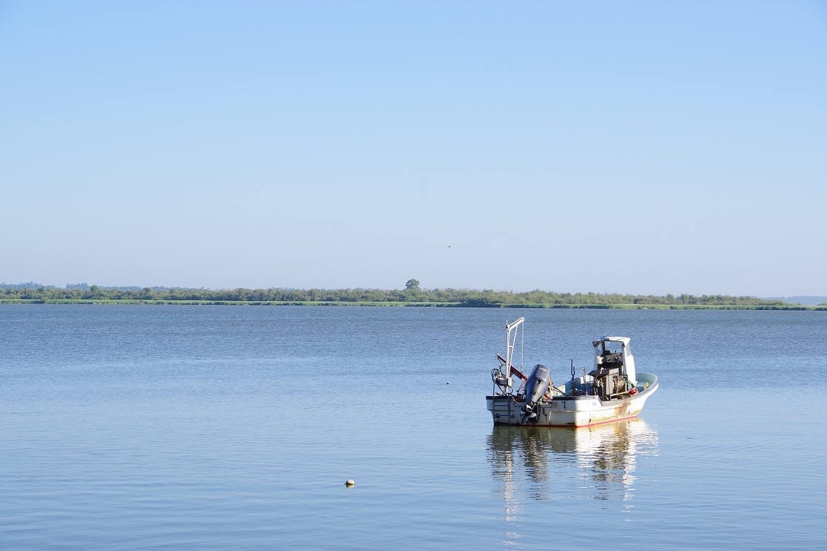 f:id:kyoumo_ichinichi:20190325221924j:plain f:id:kyoumo_ichinichi:20190325221924j:plain