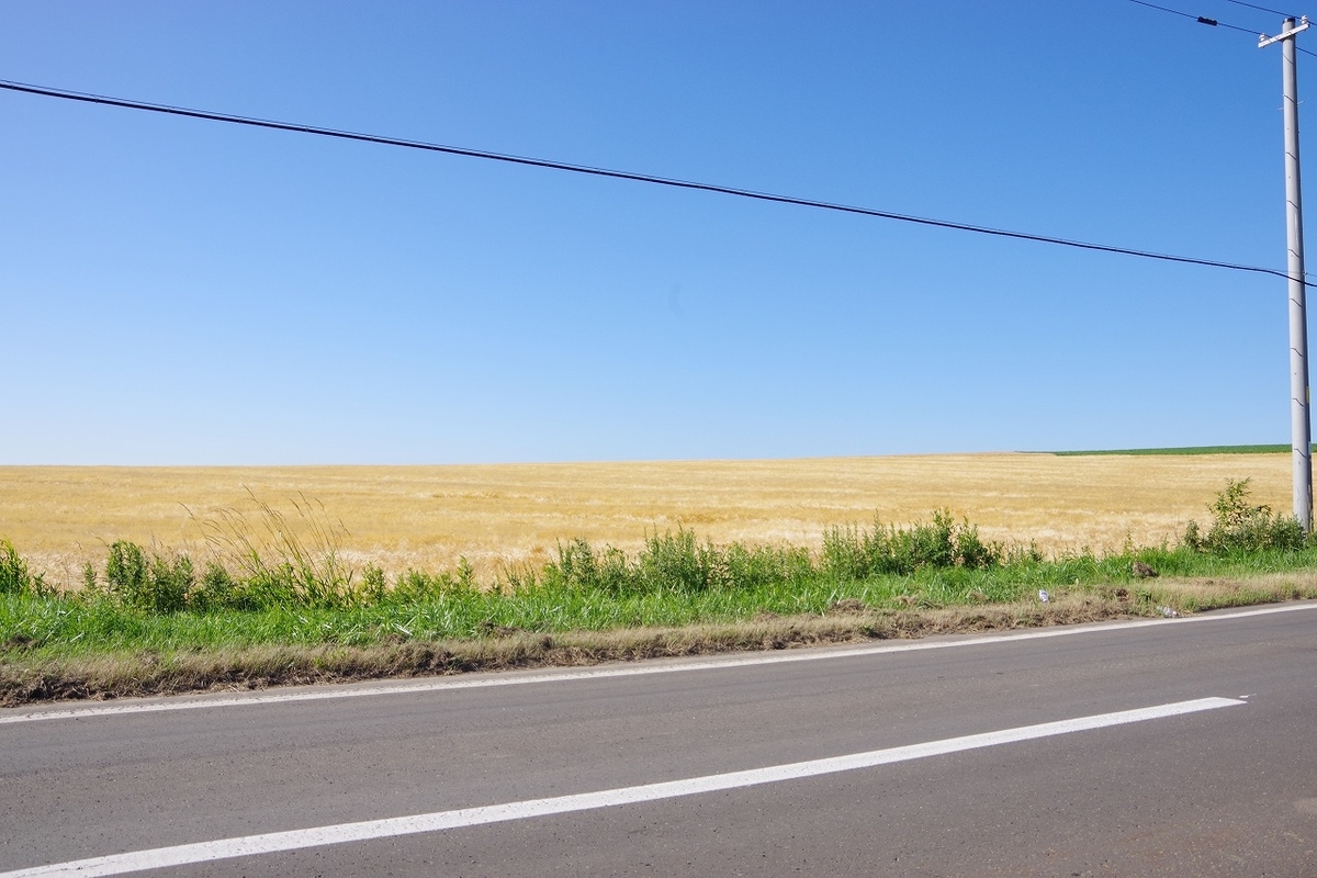 f:id:kyoumo_ichinichi:20190325221928j:plain f:id:kyoumo_ichinichi:20190325221928j:plain