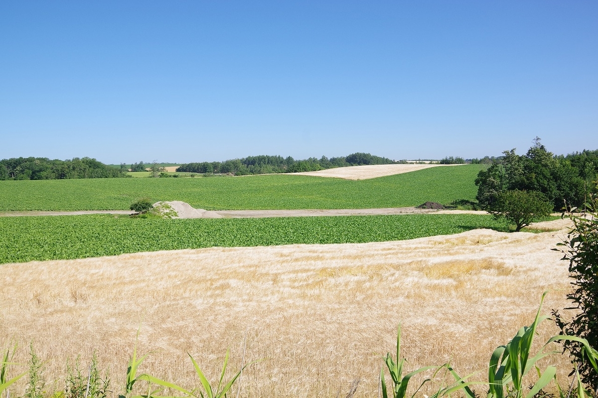 f:id:kyoumo_ichinichi:20190325221935j:plain f:id:kyoumo_ichinichi:20190325221935j:plain