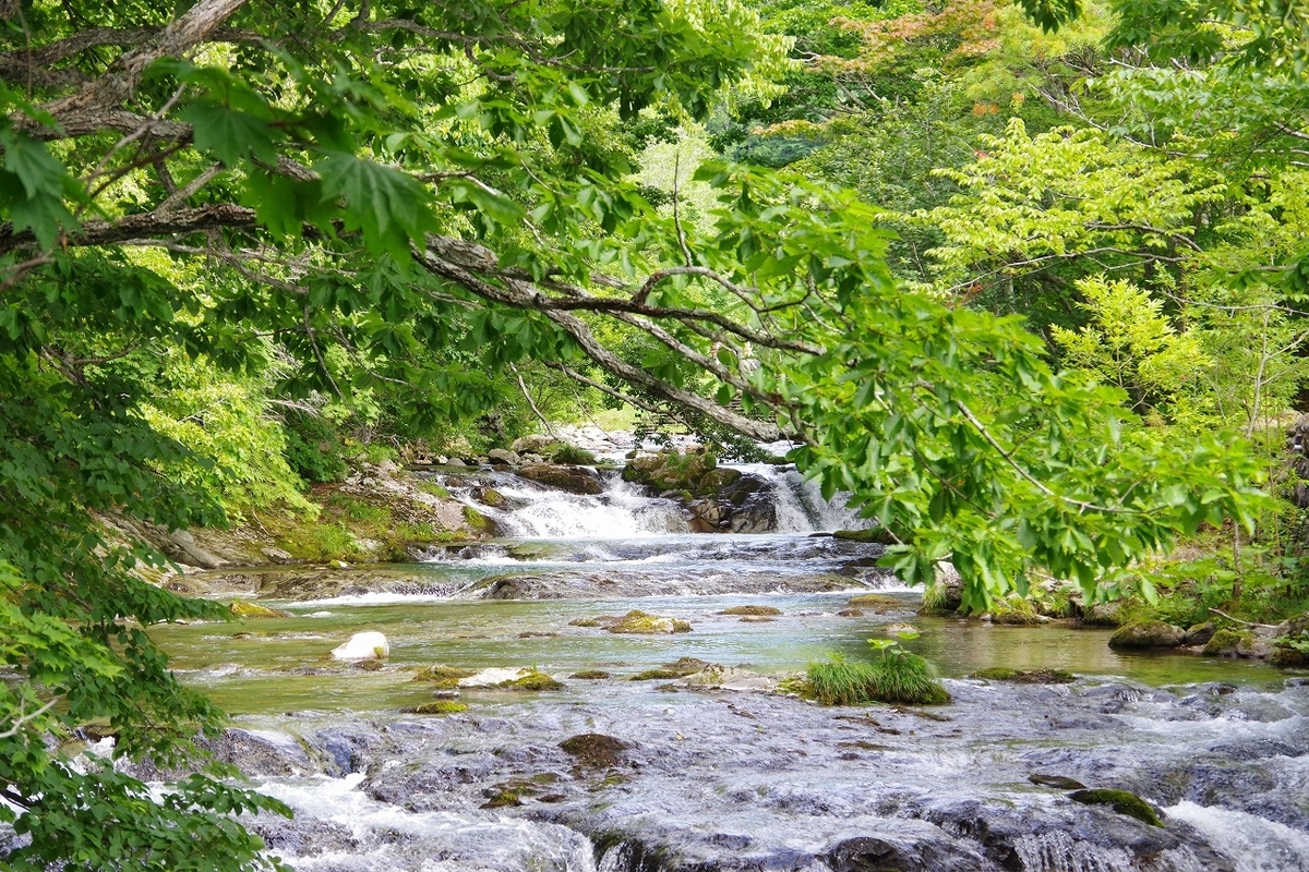 f:id:kyoumo_ichinichi:20190325222016j:plain f:id:kyoumo_ichinichi:20190325222016j:plain