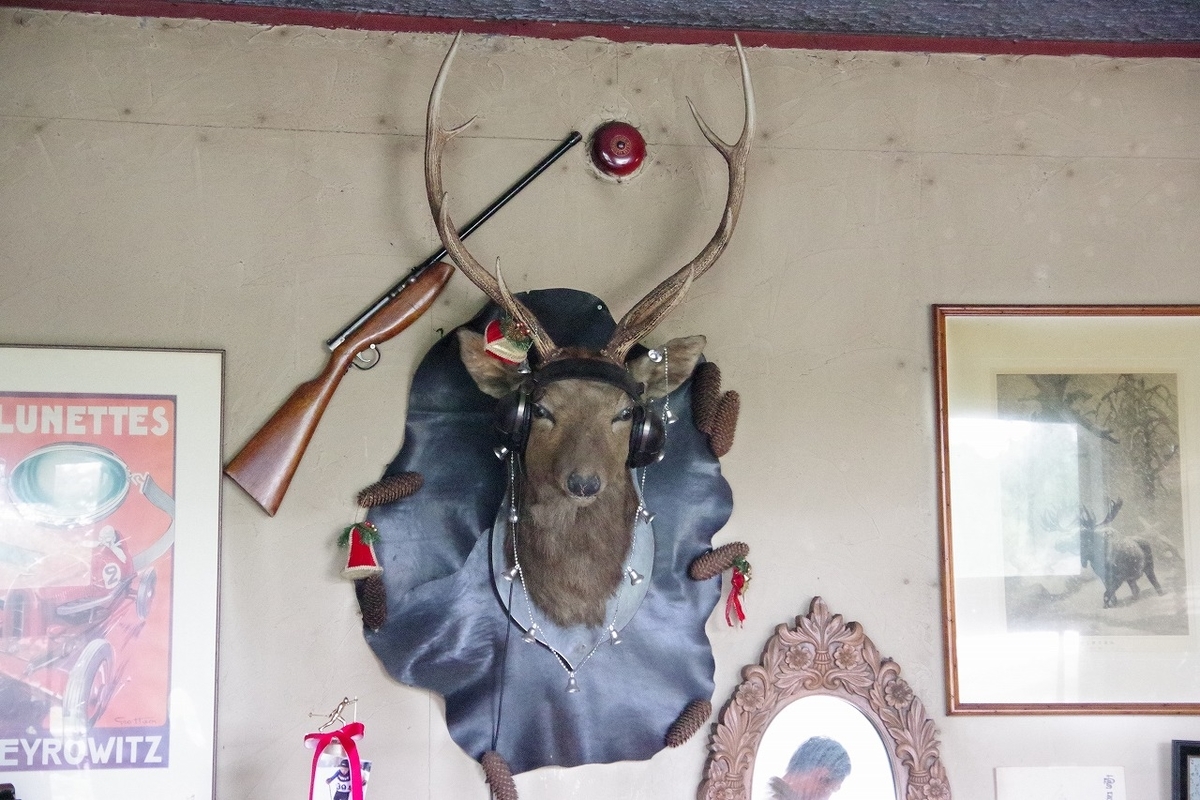 f:id:kyoumo_ichinichi:20190325222056j:plain f:id:kyoumo_ichinichi:20190325222056j:plain