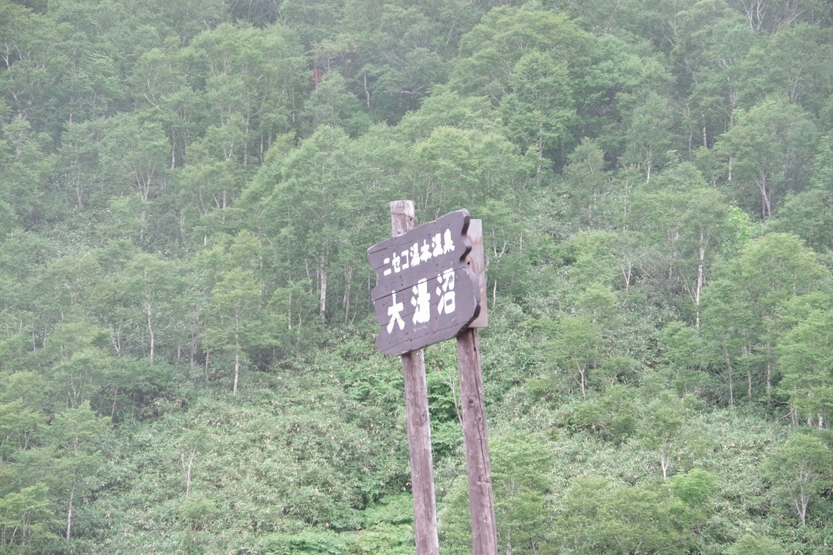 f:id:kyoumo_ichinichi:20190325222100j:plain f:id:kyoumo_ichinichi:20190325222100j:plain