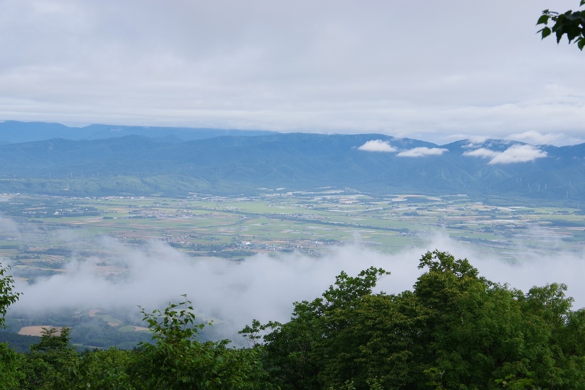 f:id:kyoumo_ichinichi:20190325222119j:plain f:id:kyoumo_ichinichi:20190325222119j:plain