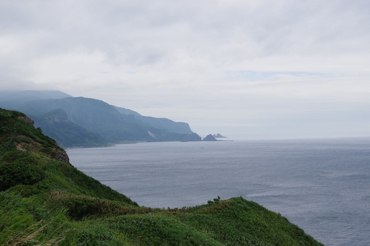 f:id:kyoumo_ichinichi:20190325222137j:plain f:id:kyoumo_ichinichi:20190325222137j:plain