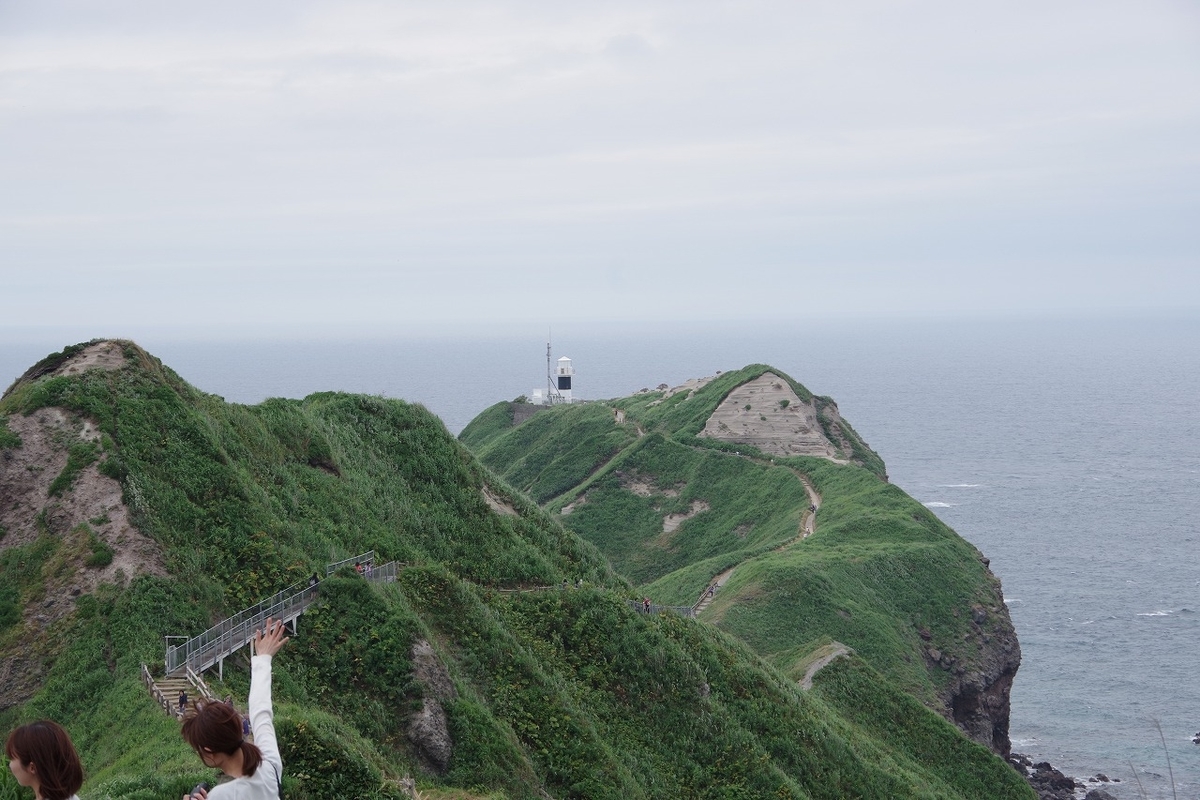 f:id:kyoumo_ichinichi:20190325222141j:plain f:id:kyoumo_ichinichi:20190325222141j:plain