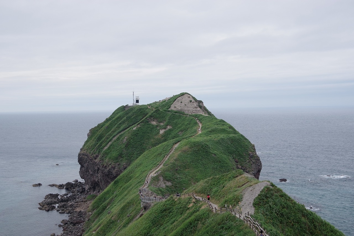 f:id:kyoumo_ichinichi:20190325222149j:plain f:id:kyoumo_ichinichi:20190325222149j:plain