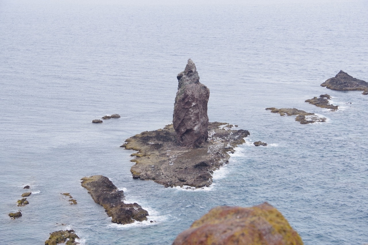 f:id:kyoumo_ichinichi:20190325222157j:plain f:id:kyoumo_ichinichi:20190325222157j:plain