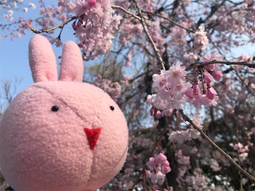 f:id:kyoumozatsu:20180404091335j:image f:id:kyoumozatsu:20180404091335j:image