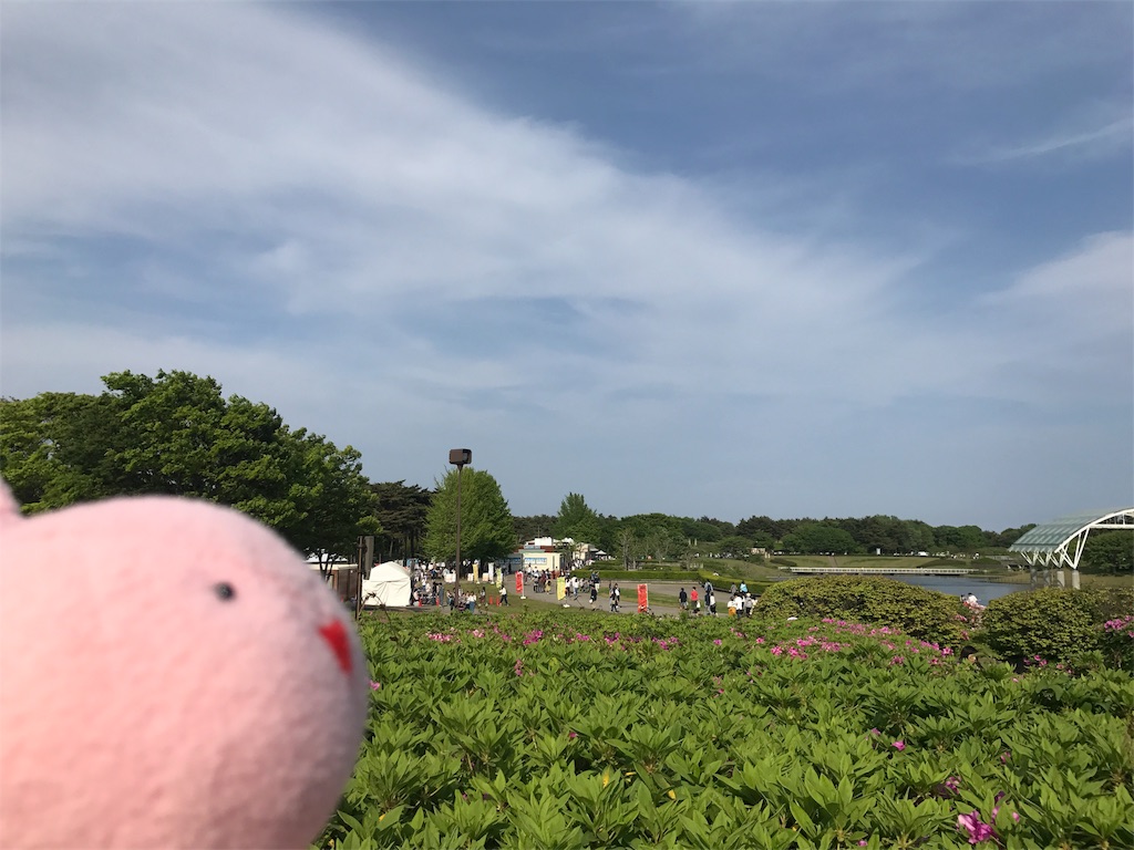 f:id:kyoumozatsu:20180504191304j:image
