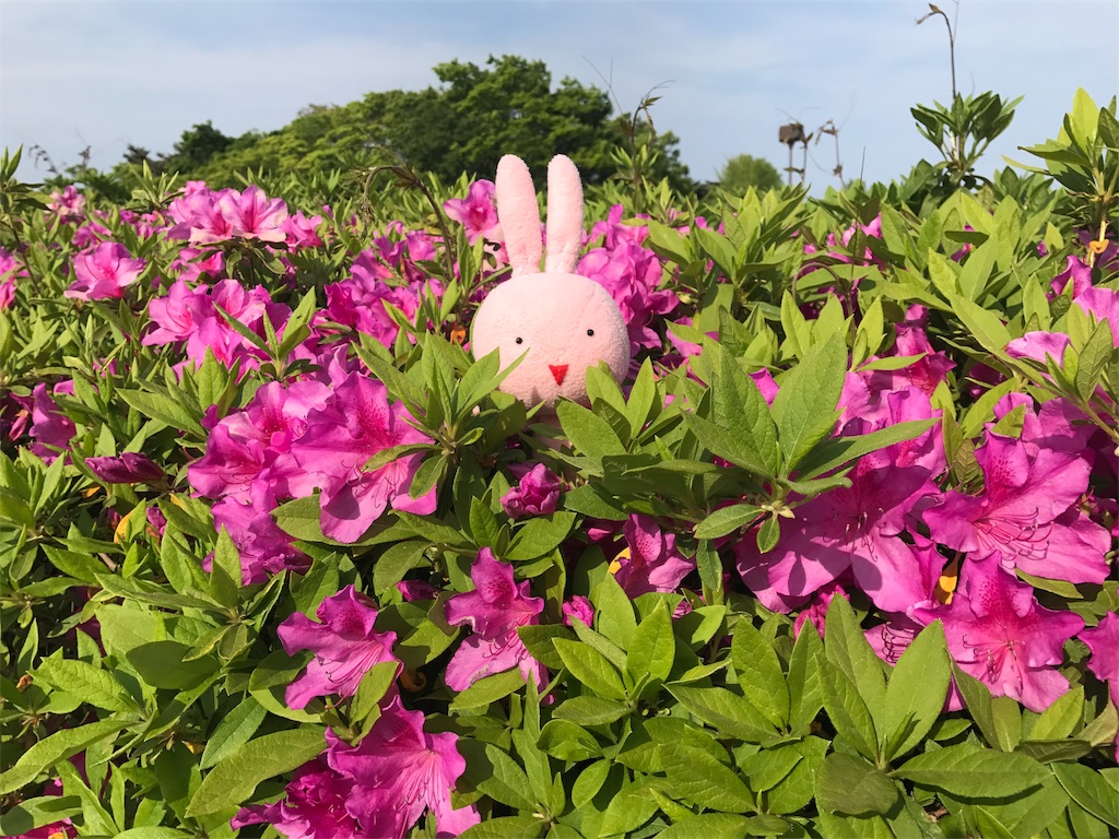 f:id:kyoumozatsu:20180504191323j:image f:id:kyoumozatsu:20180504191323j:image