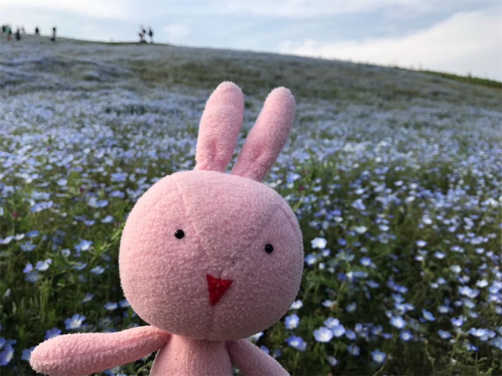 f:id:kyoumozatsu:20180504191429j:image f:id:kyoumozatsu:20180504191429j:image