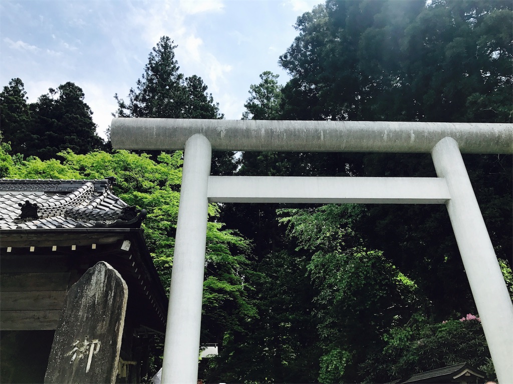 f:id:kyoumozatsu:20180504191733j:image f:id:kyoumozatsu:20180504191733j:image