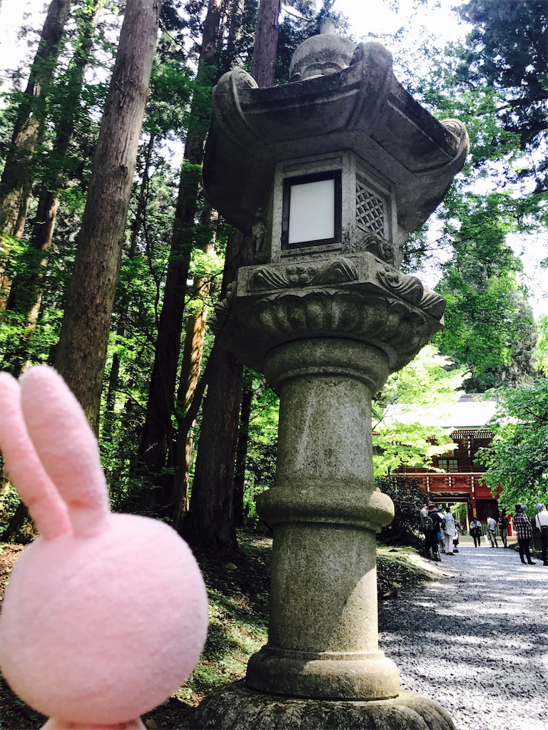 f:id:kyoumozatsu:20180504191802j:image f:id:kyoumozatsu:20180504191802j:image