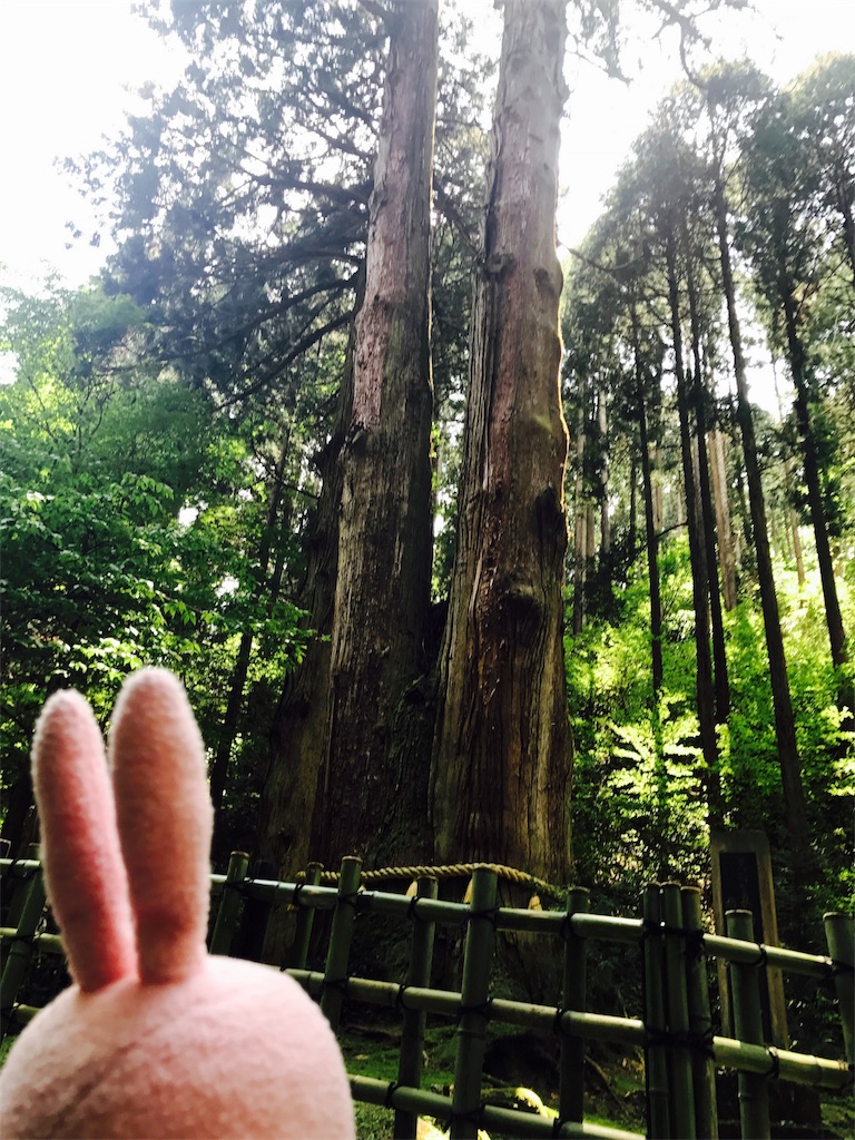f:id:kyoumozatsu:20180504191838j:image f:id:kyoumozatsu:20180504191838j:image