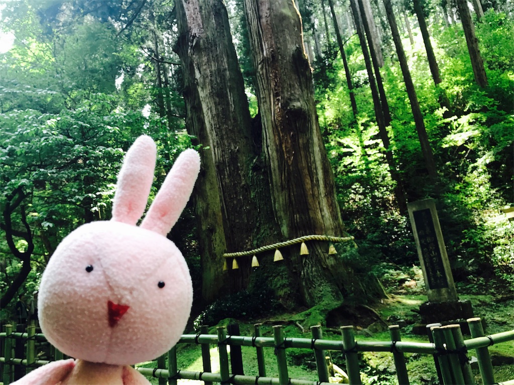f:id:kyoumozatsu:20180504191854j:image f:id:kyoumozatsu:20180504191854j:image