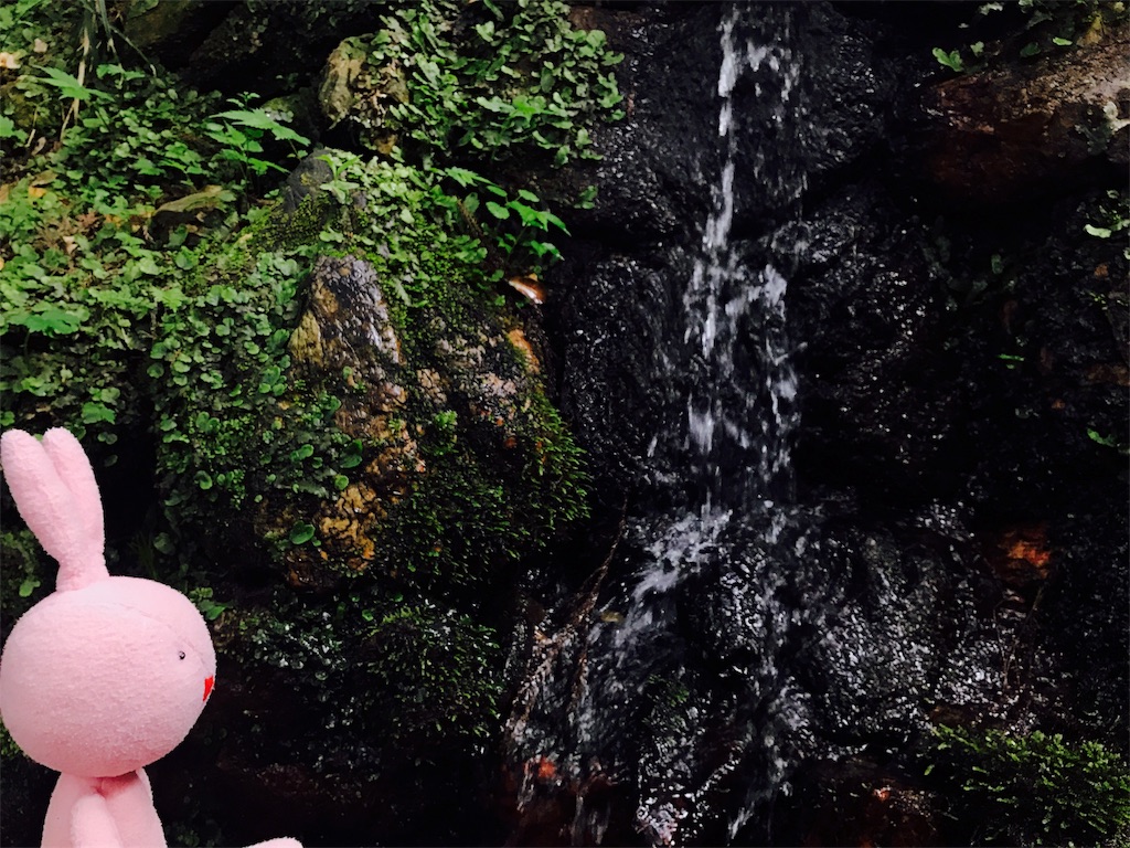 f:id:kyoumozatsu:20180504192041j:image f:id:kyoumozatsu:20180504192041j:image