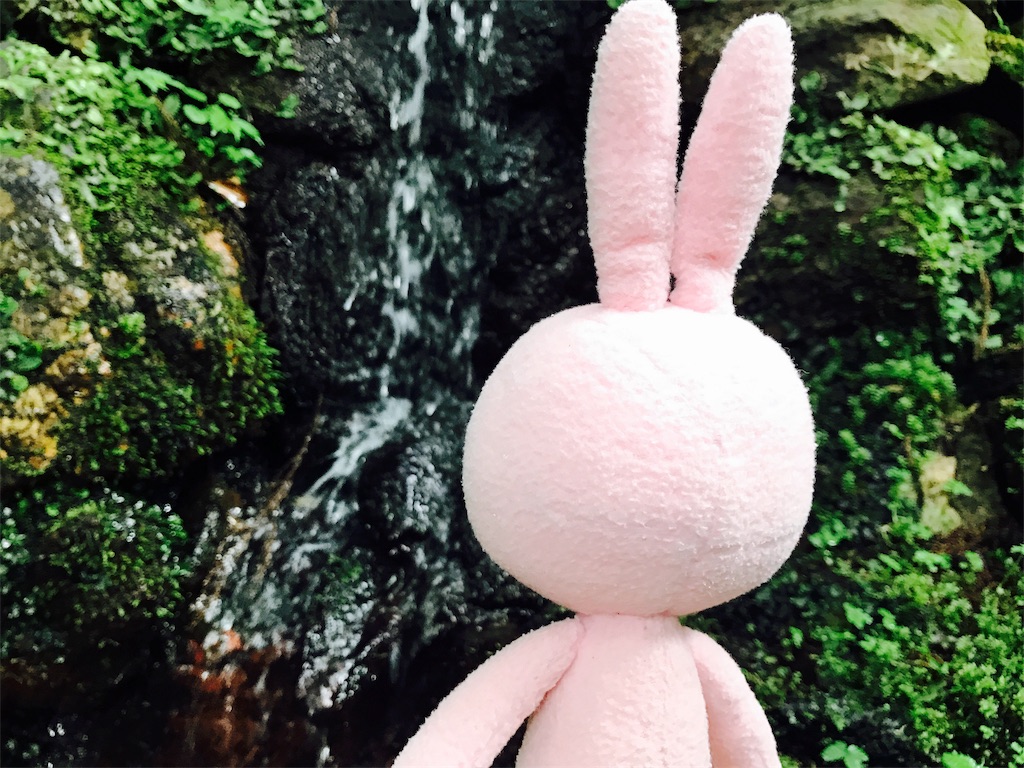 f:id:kyoumozatsu:20180504192057j:image f:id:kyoumozatsu:20180504192057j:image
