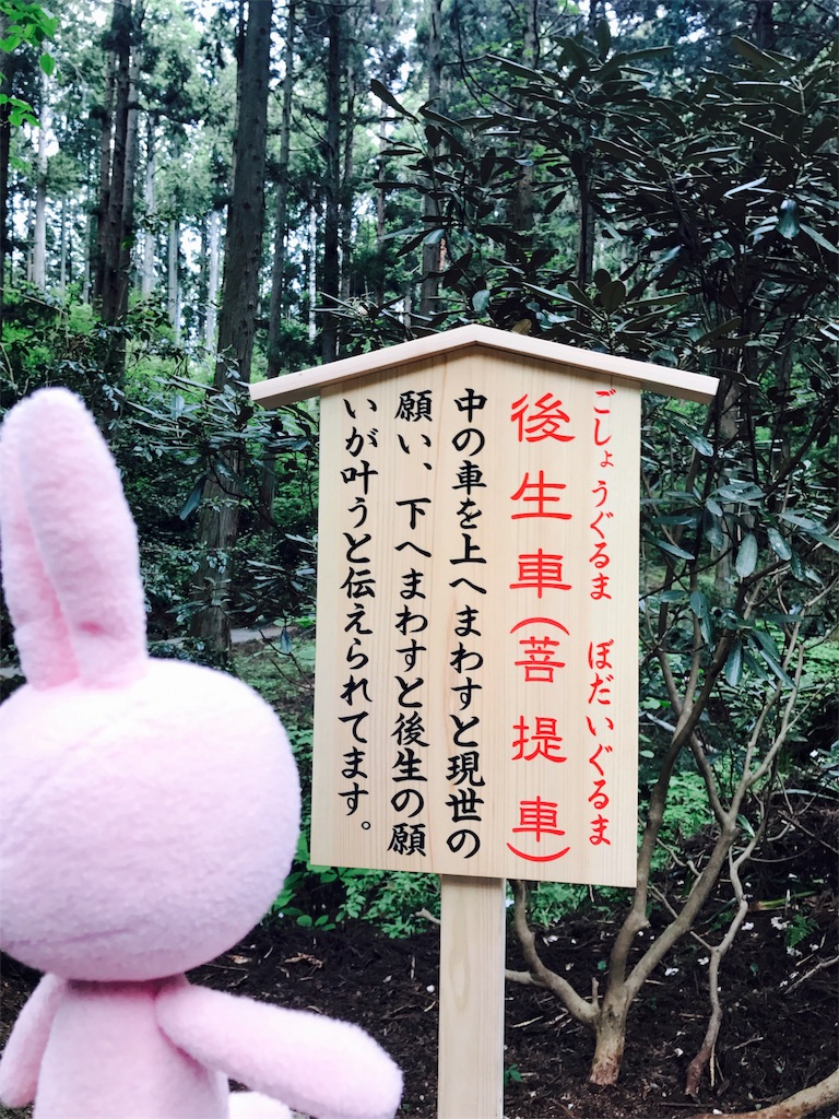 f:id:kyoumozatsu:20180504192102j:image f:id:kyoumozatsu:20180504192102j:image