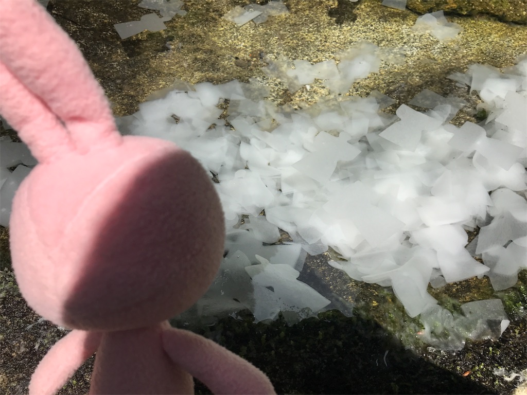 f:id:kyoumozatsu:20180504192152j:image f:id:kyoumozatsu:20180504192152j:image