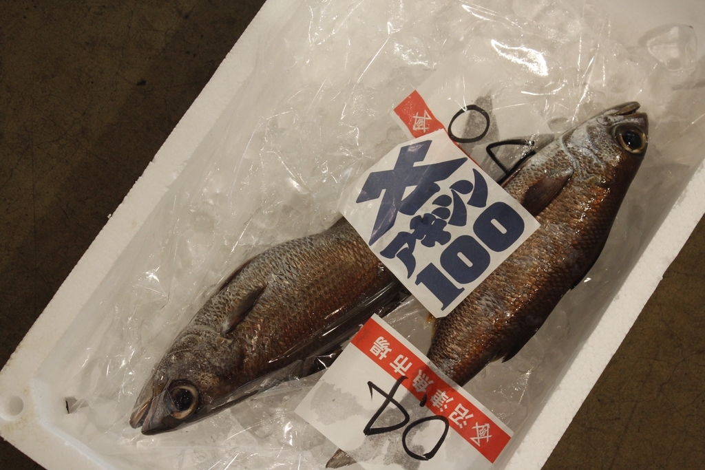 f:id:kyounotencho:20180915233202j:plain