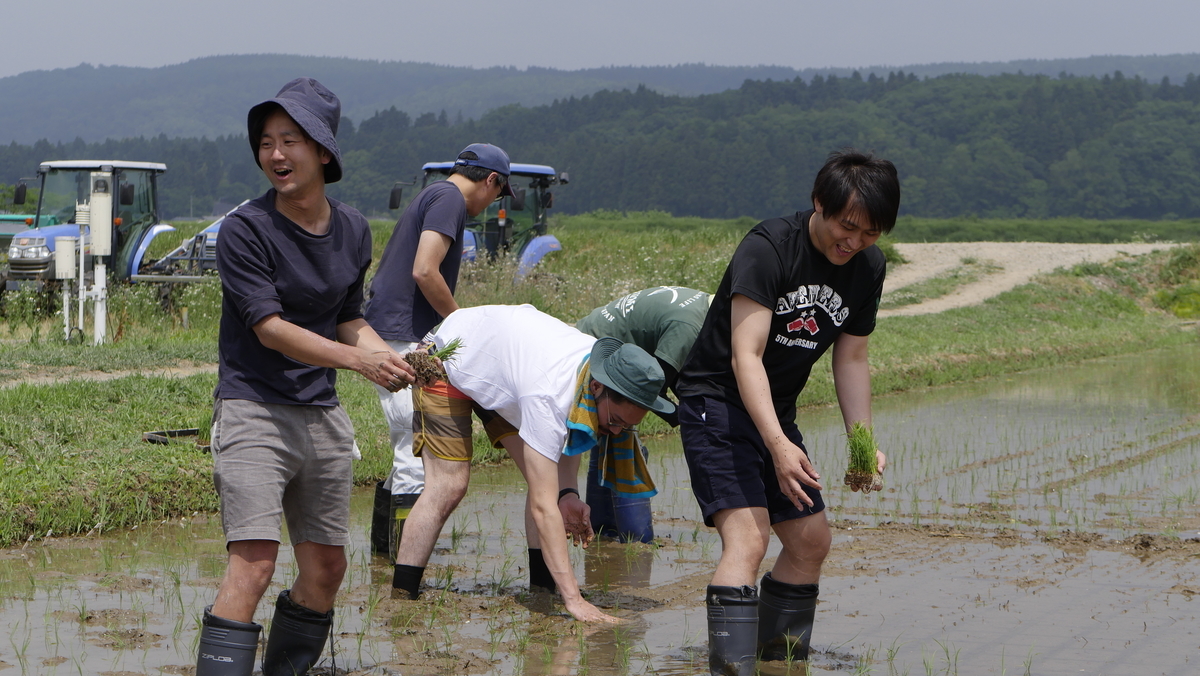 f:id:kyounotencho:20190611011500j:plain