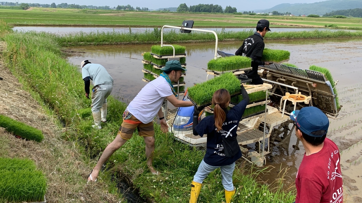 f:id:kyounotencho:20190611012838j:plain