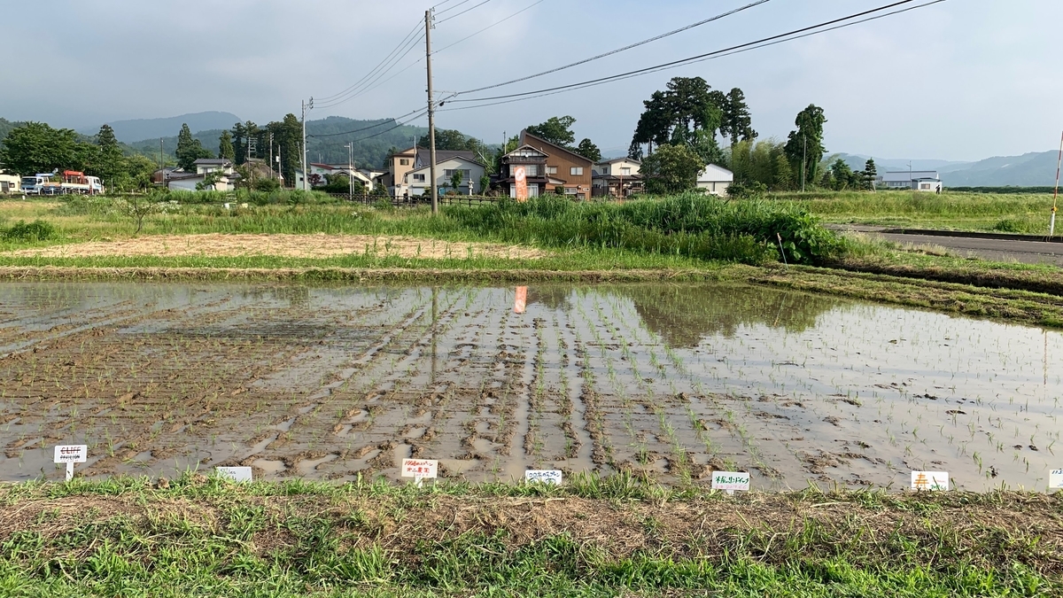 f:id:kyounotencho:20190611013147j:plain