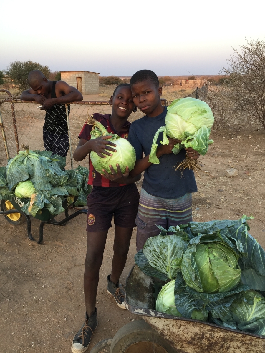 f:id:kyouryokutaimath:20191108154836j:plain f:id:kyouryokutaimath:20191108154836j:plain