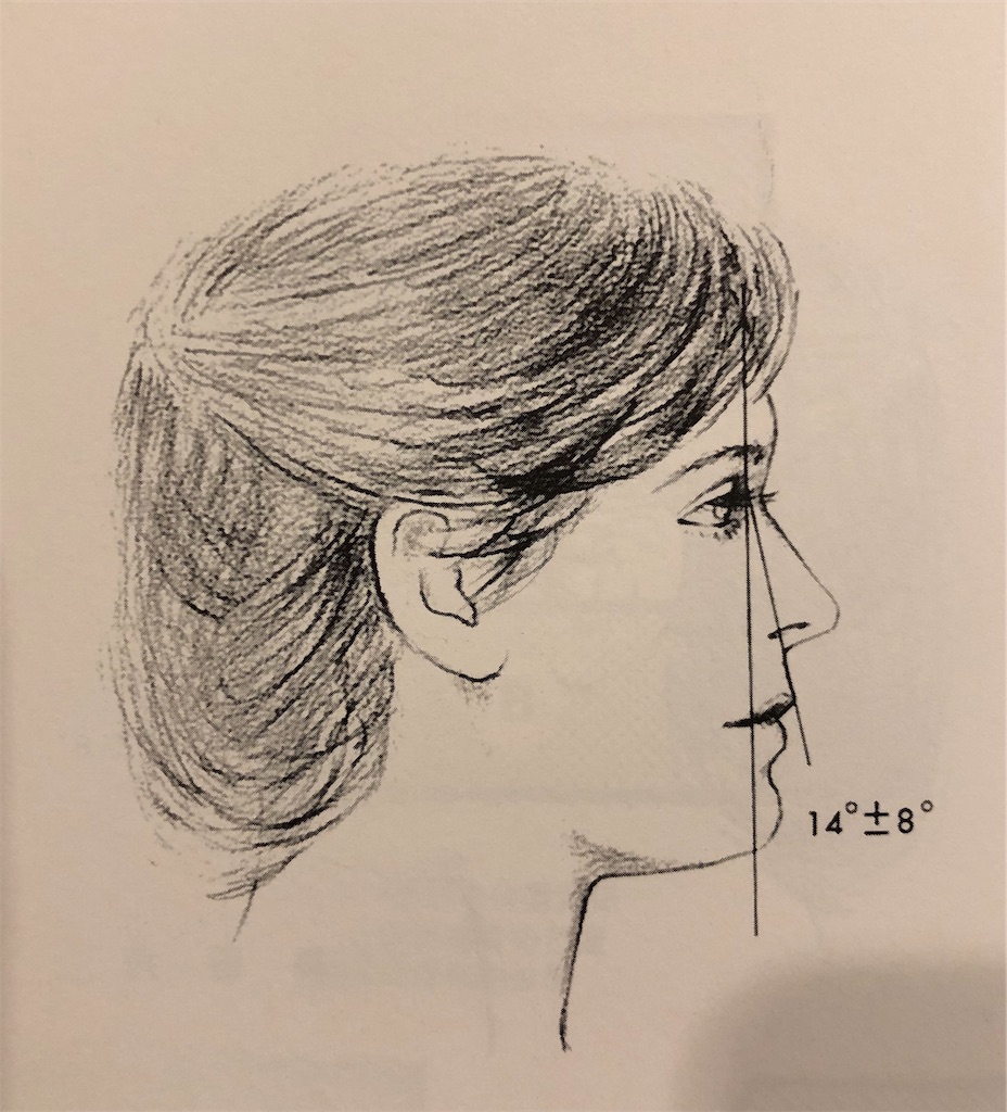 f:id:kyouseisyoshinsya:20191229212859j:image