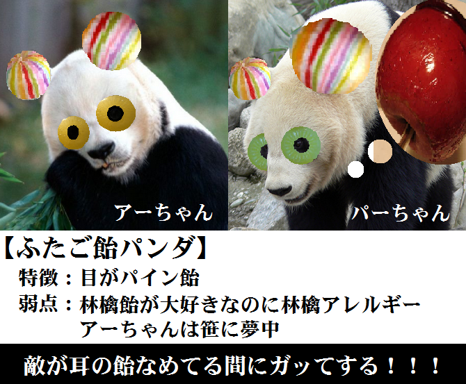 わんちゃんのカリカリのニッポンの元気ここから