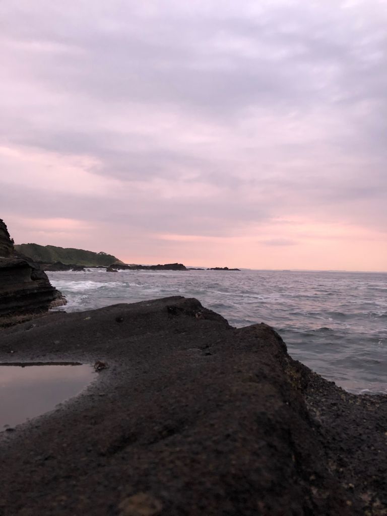 ７月２６日 城ヶ島で青物探し 釣れ然なるままに Written By 小泉 貴久
