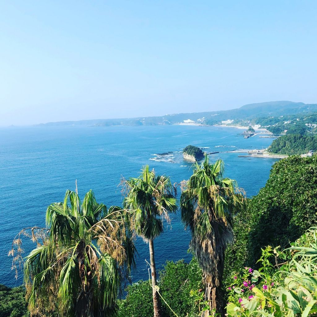 ８月２日 伊豆遠征ヒラスズキ 青物 釣れ然なるままに Written By 小泉 貴久