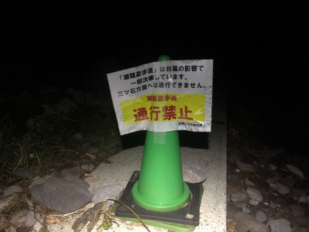 夏が残るシイラ祭り 雨でもしっかりナブラができてた真鶴青物 釣れ然なるままに Written By 小泉 貴久