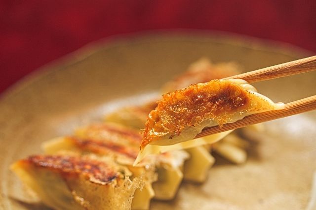 餃子もカレーも完全食 忙しいあなたに送る健康料理 釣れ然なるままに Written By 小泉 貴久 餃子もカレーも完全食 忙しいあなたに送る健康料理 釣れ然なるままに Written By 小泉 貴久