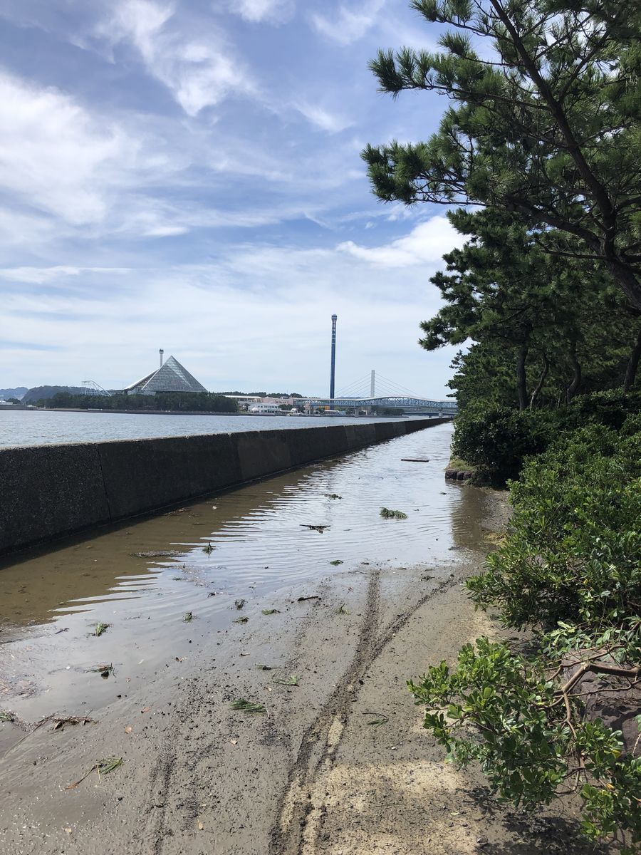 台風15号の被害 幸浦 福浦岸壁崩壊 釣れ然なるままに Written By 小泉 貴久