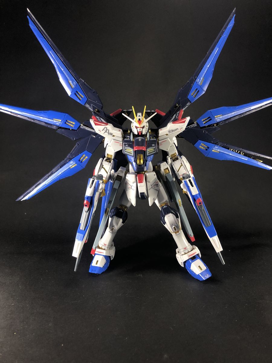 ガンプラ RGストライクフリーダム（ストフリ）完成レビュー