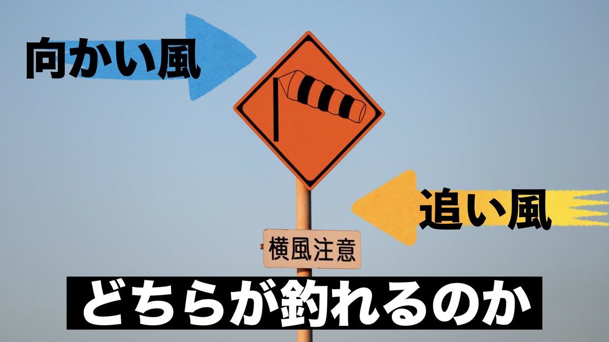 釣りでは風が強い場合 追い風 向かい風どちらが釣れるのか 釣れ然なるままに Written By 小泉 貴久