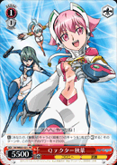 f:id:kyoyatouko:20090318221346g:image