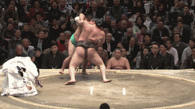 白鵬のダメ押し というかダメ投げ 超スーパーウルトラぱにーに W ノ日記 しまむーのおへや