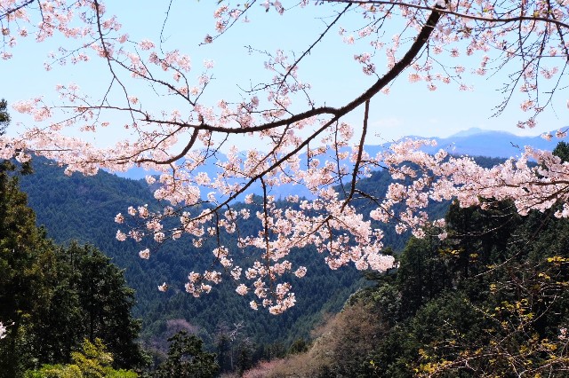 f:id:kyozo2019:20190419171052j:image