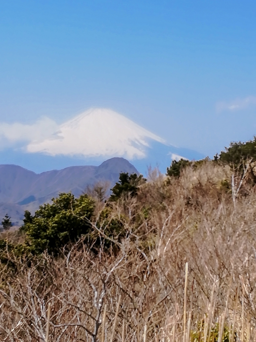 f:id:kyozo2019:20190419171902j:plain