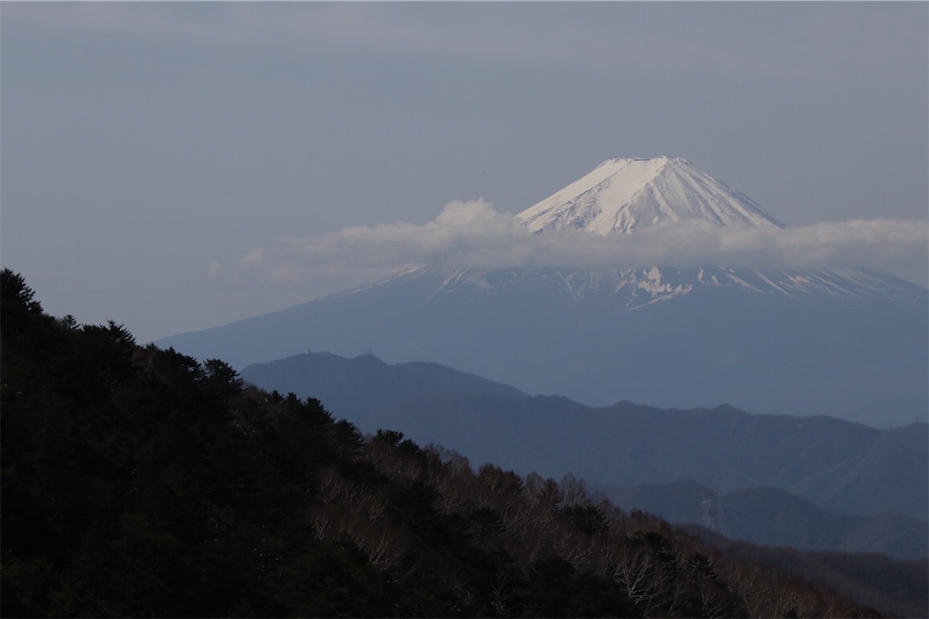 f:id:kyozo2019:20190506135410j:image