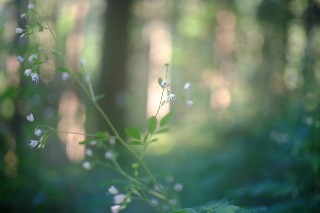 f:id:kyozo2019:20200819222917j:plain