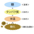 20170131081722