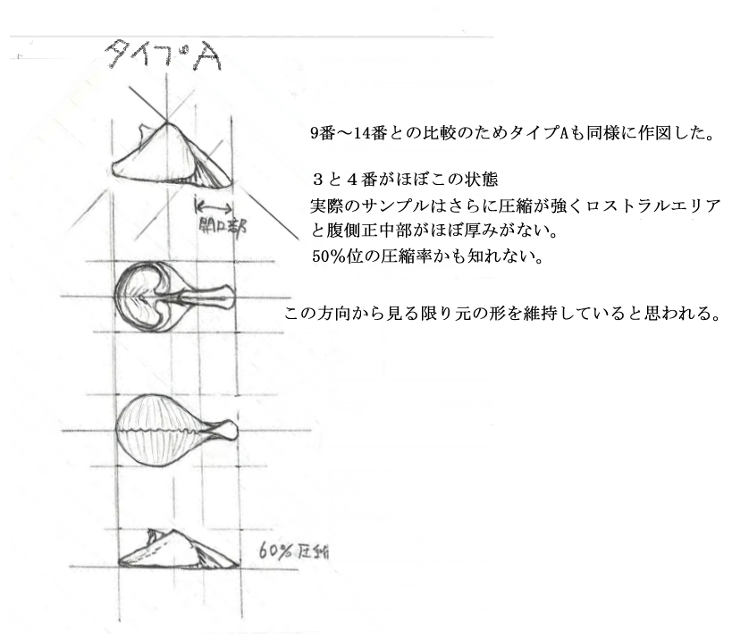 f:id:kyte55712:20210824005317j:plain
