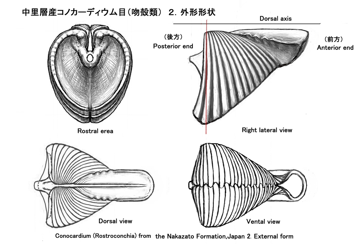 f:id:kyte55712:20210828233240j:plain
