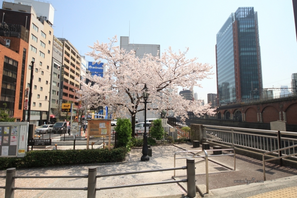 f:id:kyu_com:20180330084357j:plain f:id:kyu_com:20180330084357j:plain