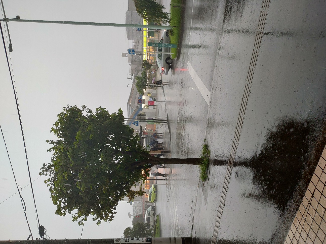 f:id:kyu_kashi:20200213185053j:image f:id:kyu_kashi:20200213185053j:image