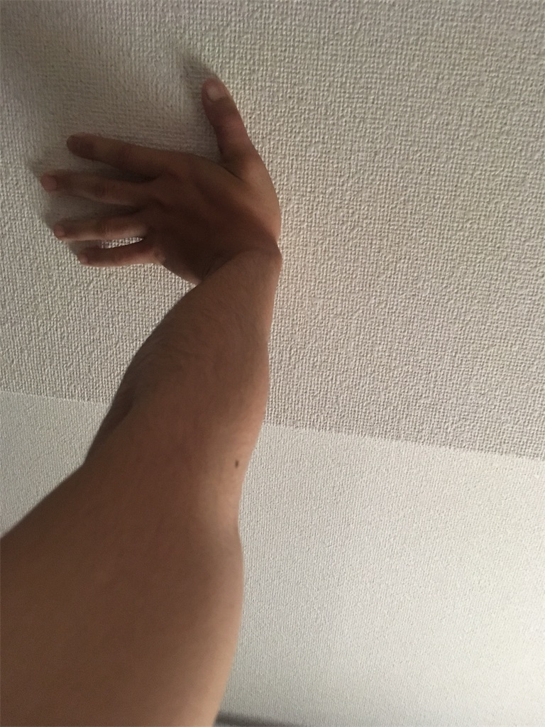 f:id:kyudoo:20191104120124j:image f:id:kyudoo:20191104120124j:image
